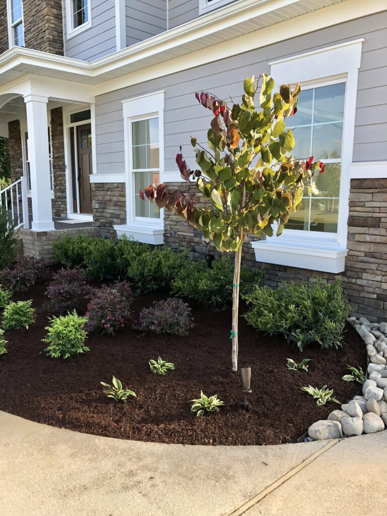 landscaping flower bed with tree